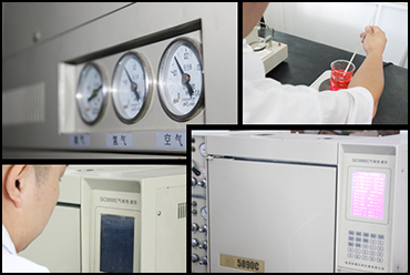 INSPECTION PHOTOS & FORM